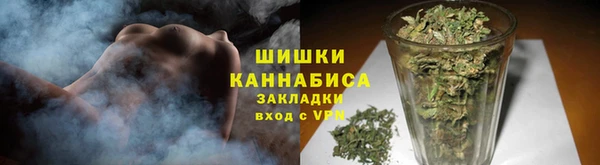 гидра Арсеньев