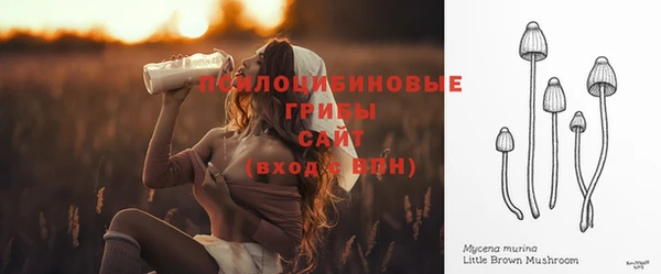 сатива Аркадак