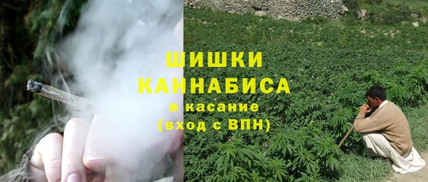 сатива Аркадак