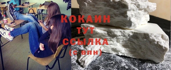 сатива Аркадак
