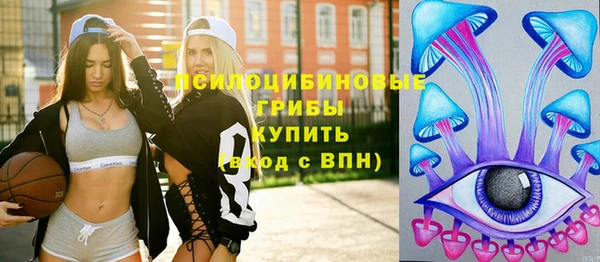 гидра Арсеньев