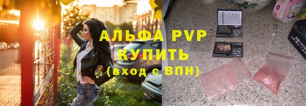 сатива Аркадак