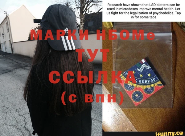 сатива Аркадак